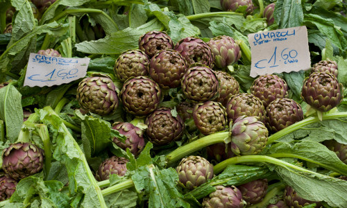 carciofi-0_DSC2869